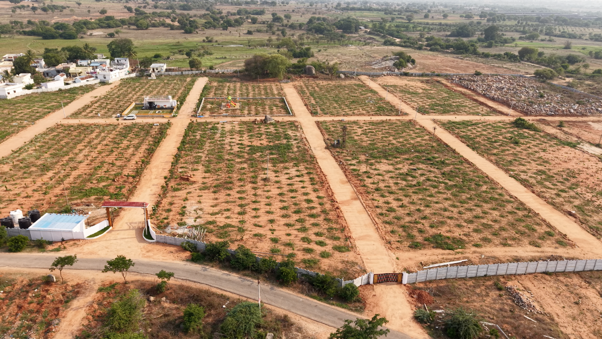 Golden Farm