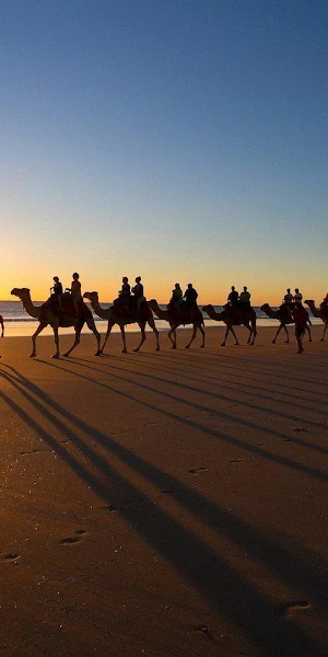 Camel, Sunset, Beach, Silhouette, Riding Full HD Wallpaper Background