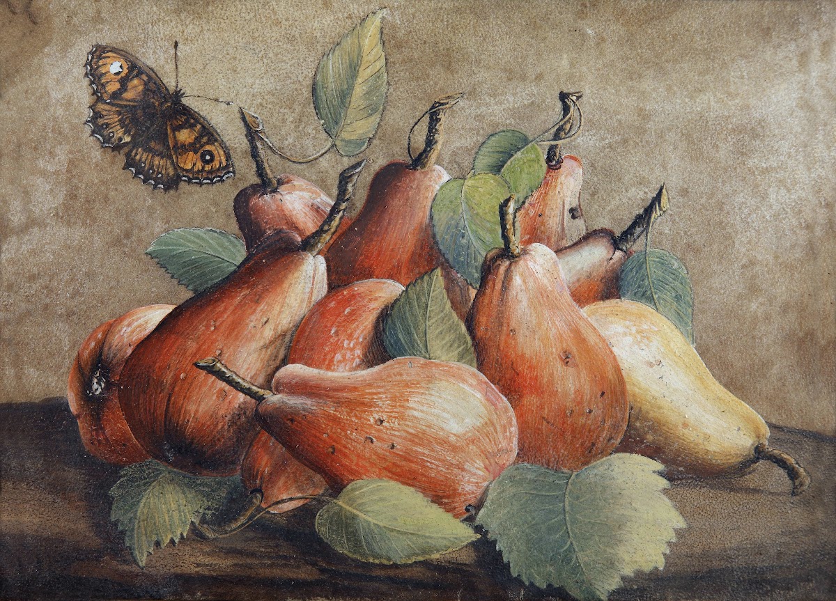 Stillleben Mit Birnen Und Einem Schmetterling