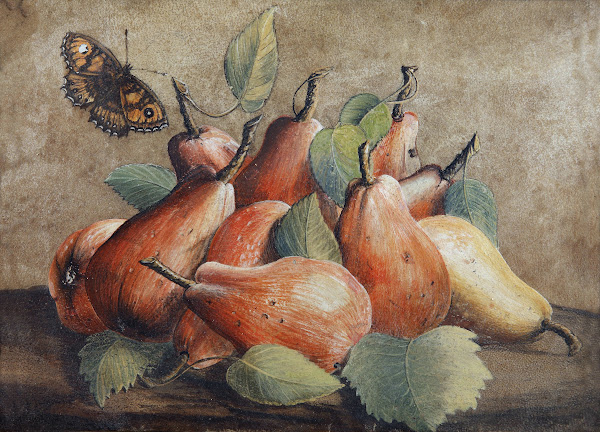 Stillleben Mit Birnen Und Einem Schmetterling