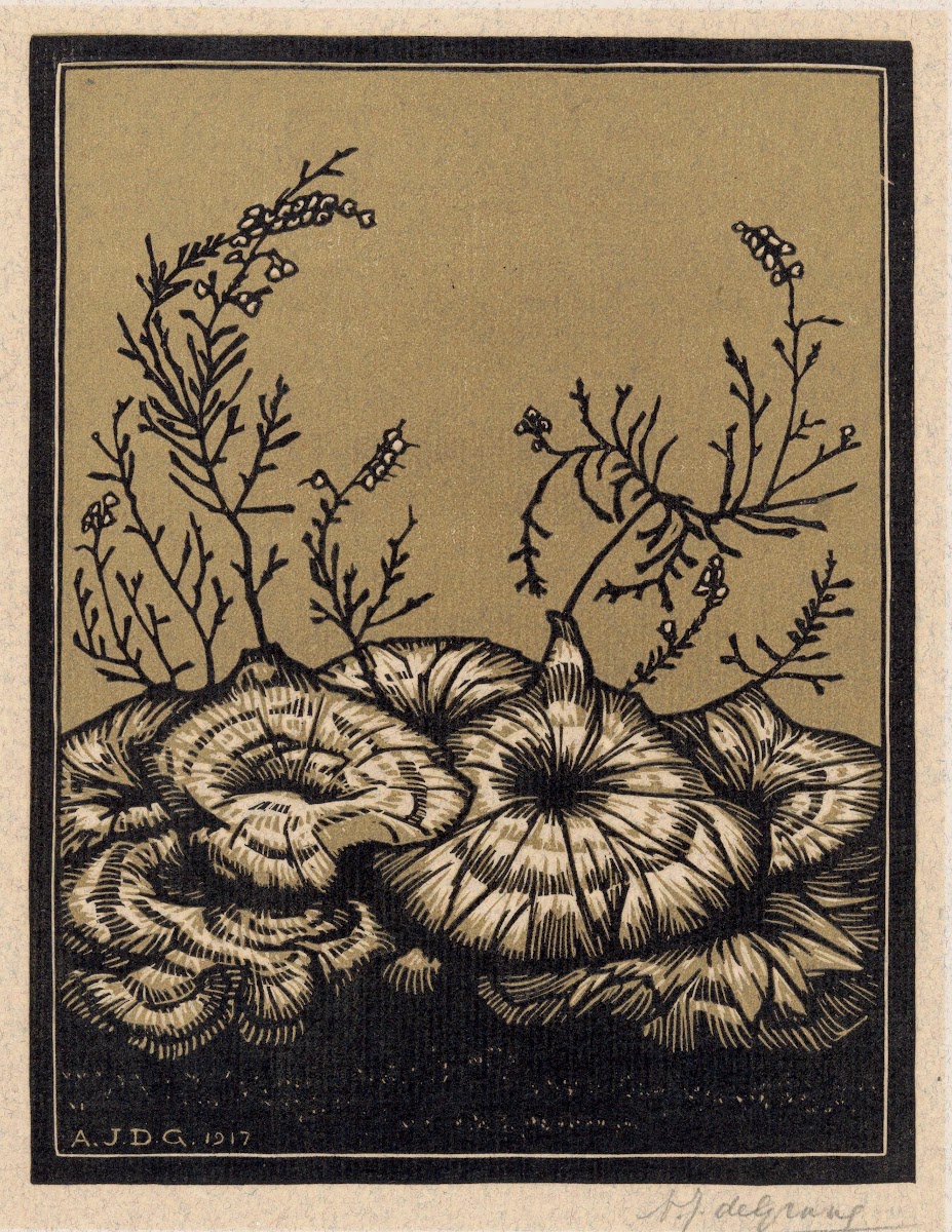 Bloeiende planten 1917
