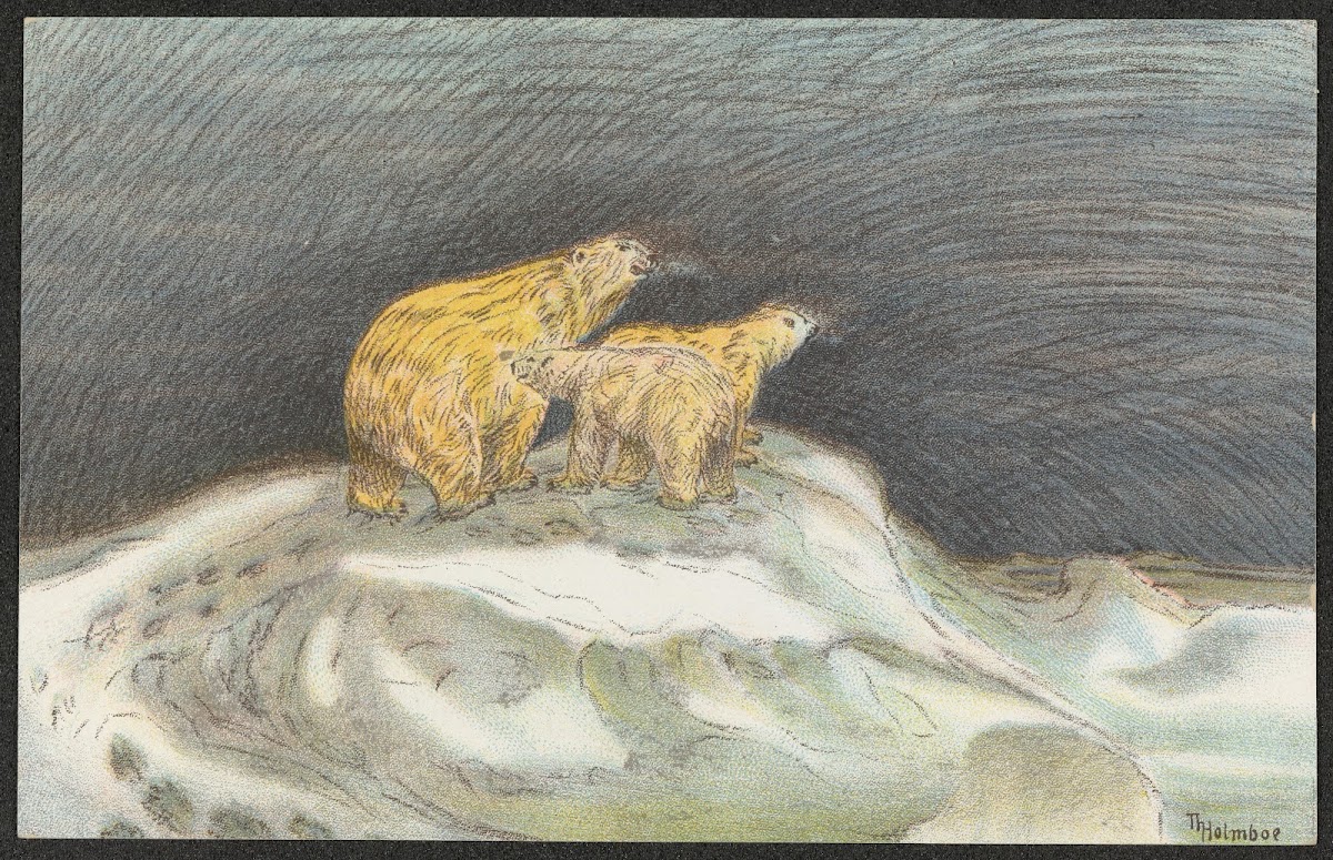 Polar bears