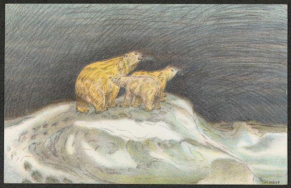 Polar bears