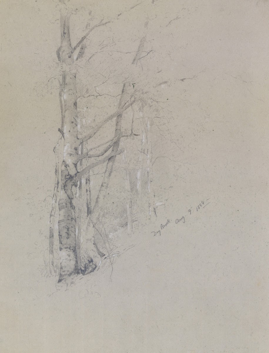 Dry Brook 1888
