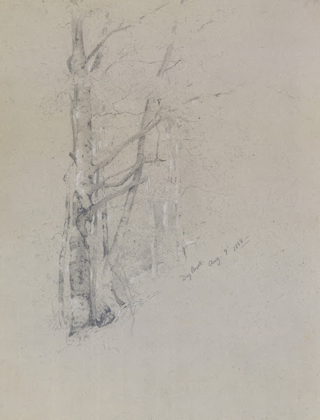 Dry Brook 1888