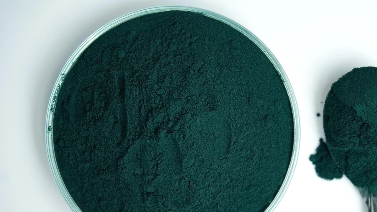 다이어트 영양제 추천, 성분별 효과와 복용 시 주의사항 정리