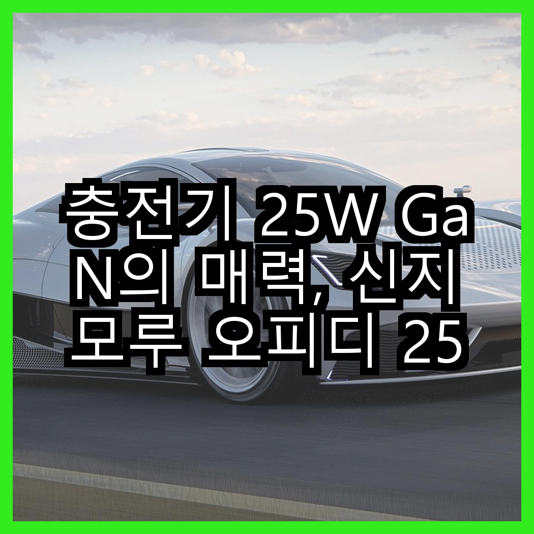 충전기 25W GaN의 매력, 신지모루 오피디 25W 듀얼포트 vs 삼성전자 25W C타입, 어떤 선택이 더 빠를까? 썸네일