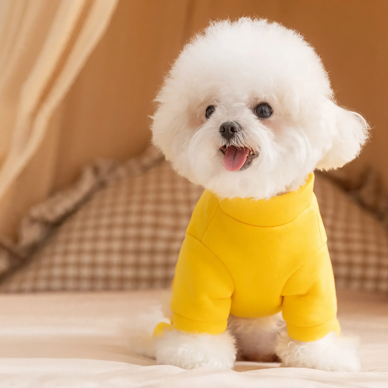Dog Sweatshirt, four legs, autumn/winter, fleece