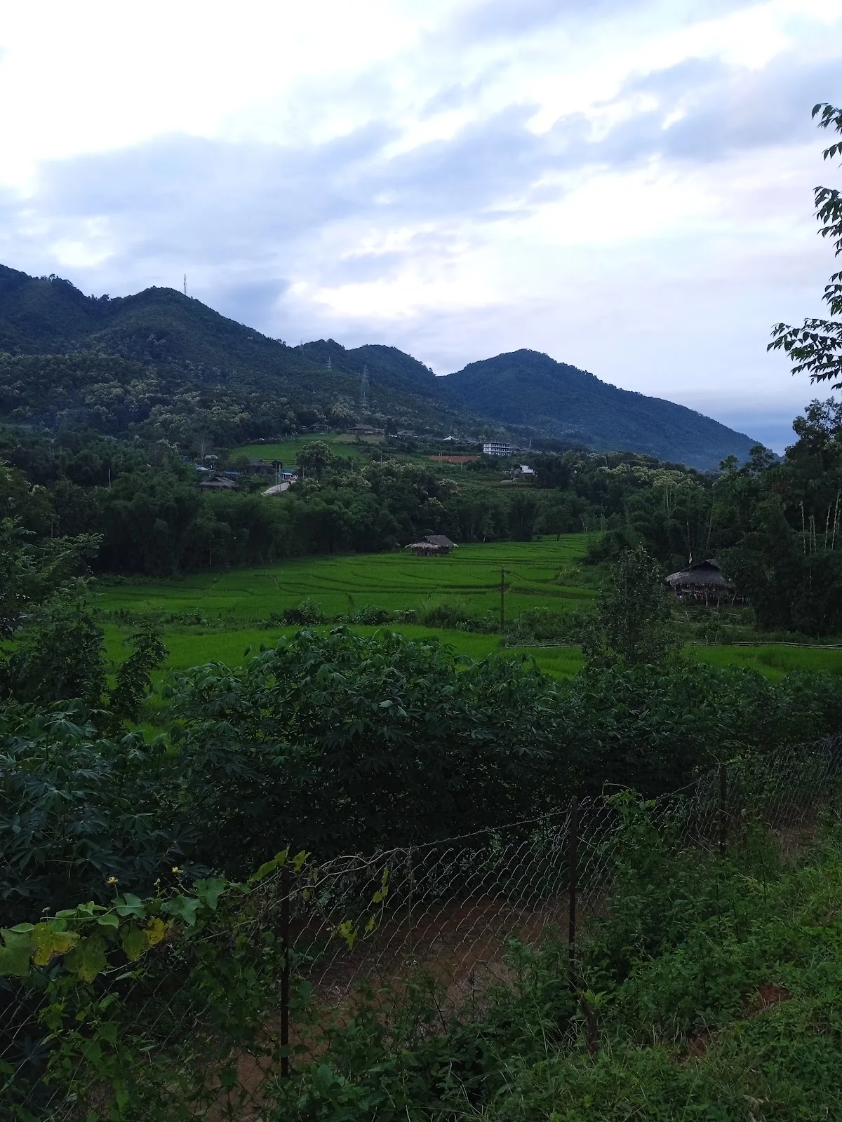 Basar