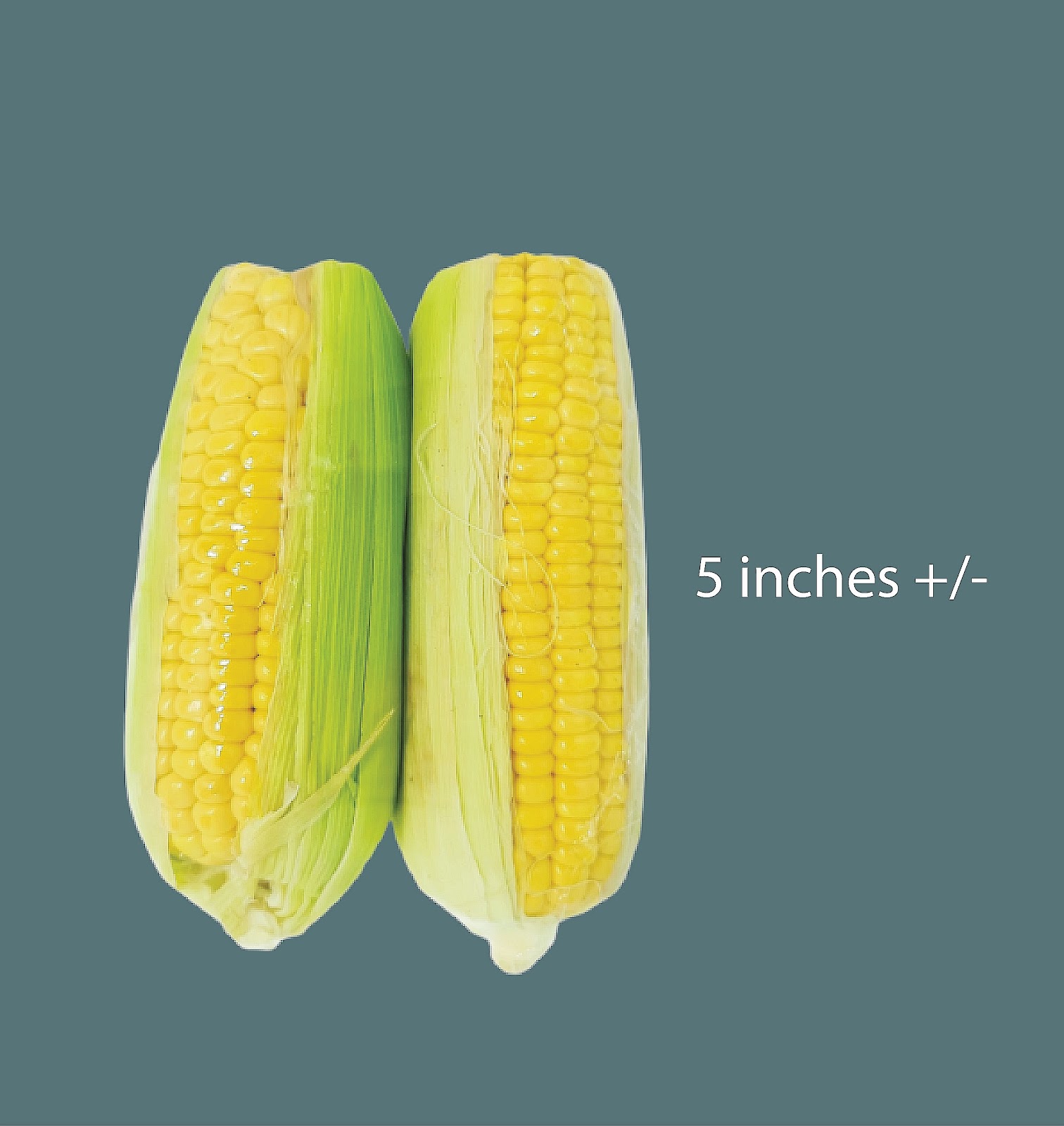 Fresh Corn B