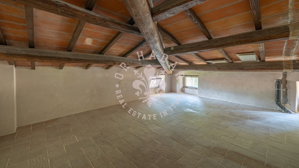 אחוזת טרסימנו לקסוס (Tenuta Trasimeno Lux) — 79