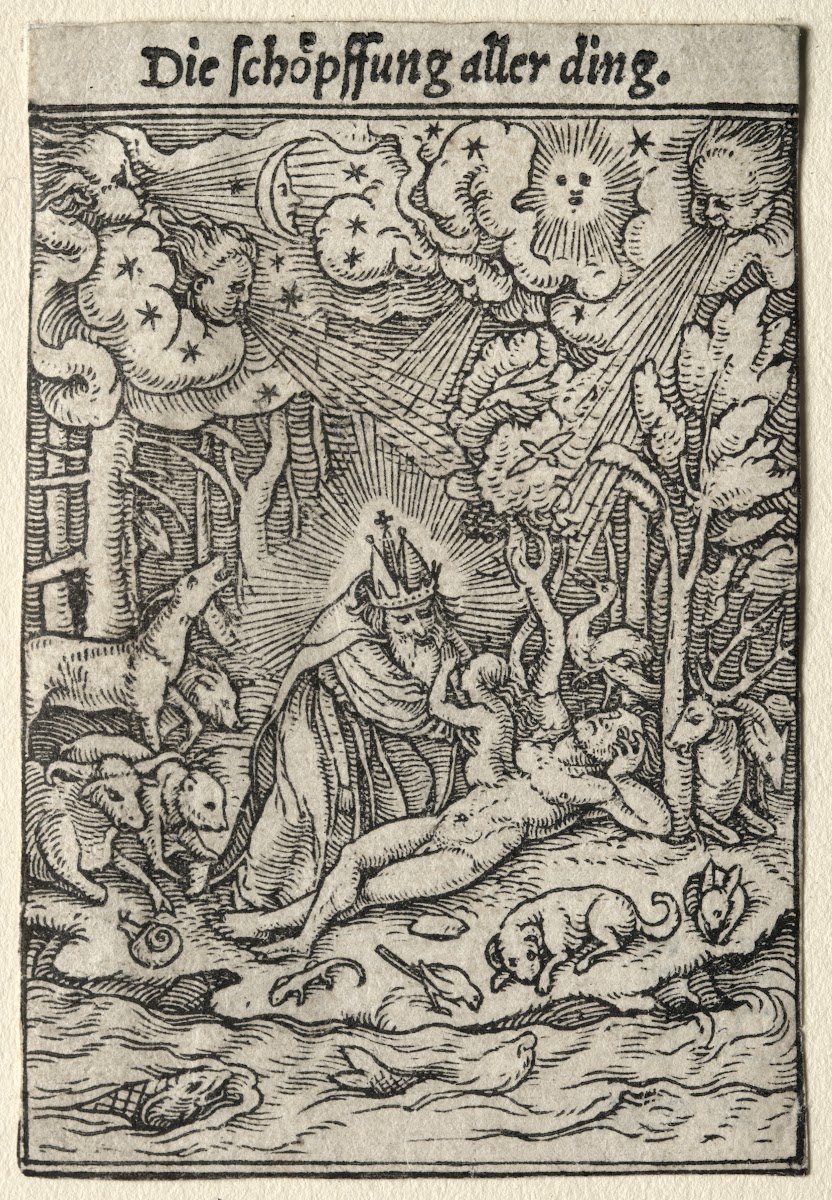The Creation c 1526