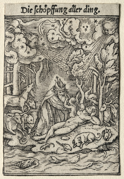 The Creation c 1526