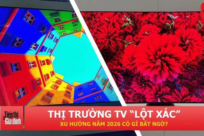 Thị trường TV 'lột xác': Xu hướng năm 2026 có gì bất ngờ? | TTGĐ - Tiếp thị &amp; Gia đình
