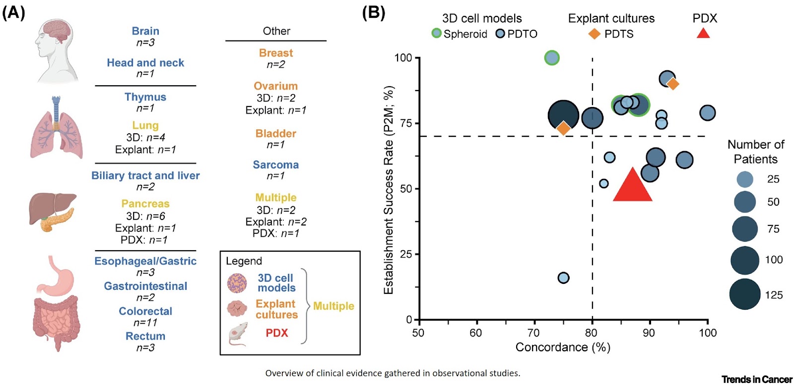 Advancing functional treatment prediction for precision oncology