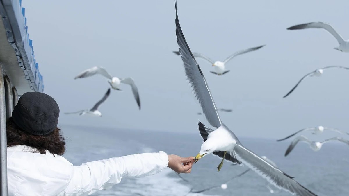 웹툰과 드라마에서 자주 쓰이는 갈등 구조 유형 비교