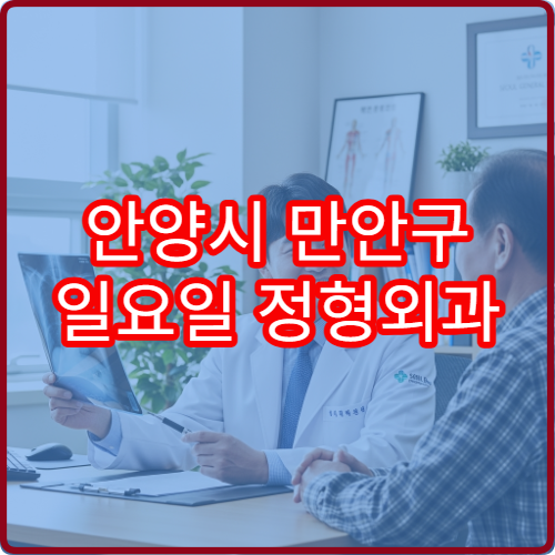 안양시 만안구 일요일 정형외과 진료 병원 골절·허리통증 상담 가능