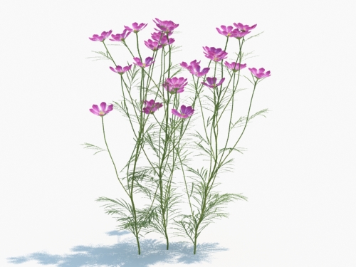 Maxtree - Plant Models Vol.3