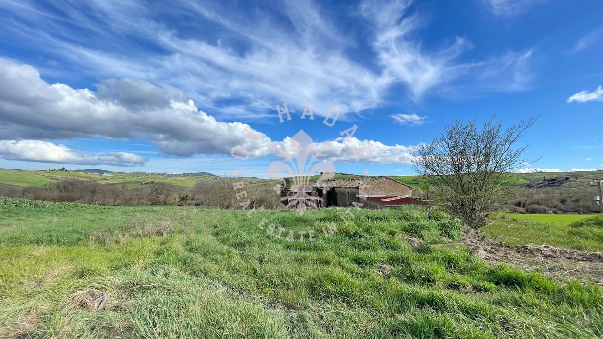 אזינדה לאסו (Azienda l'Asso) — 9