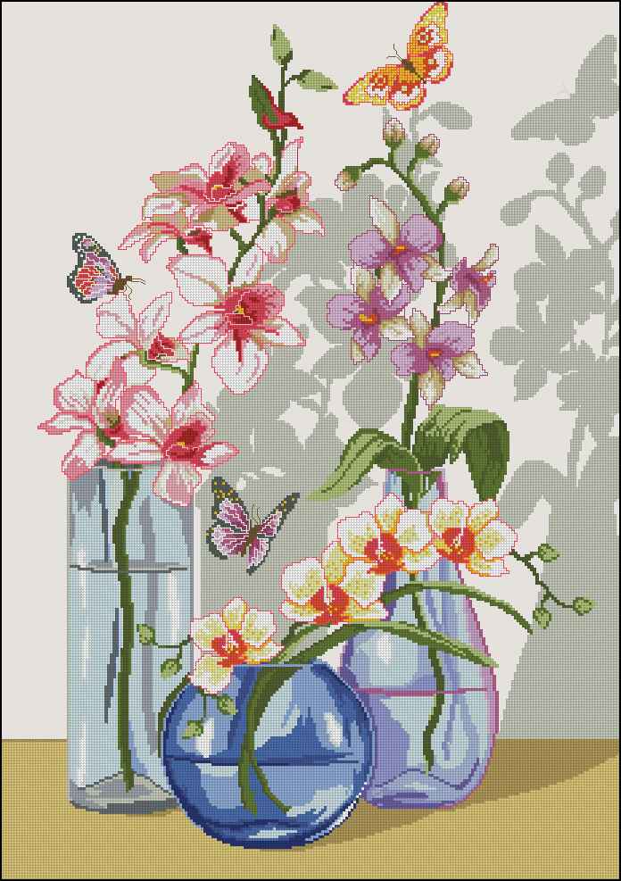 CMP 171229 Orchid