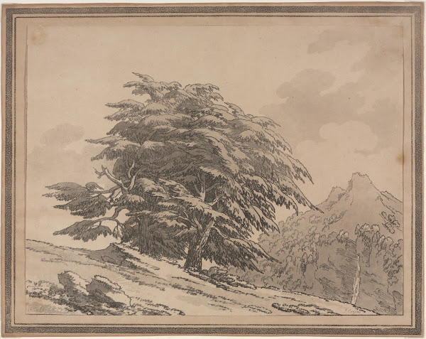 Cedar 1789