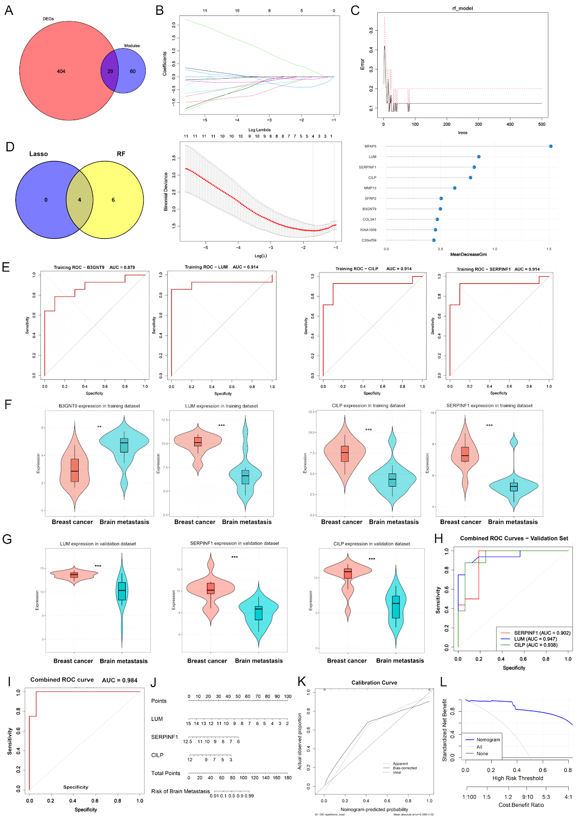 Identification and experimental validation of core genes associated with breast cancer brain metastasis via machine learning