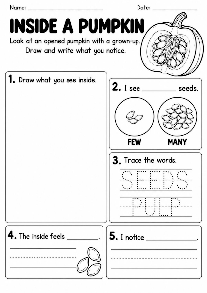 Inside a Pumpkin Observation Worksheet