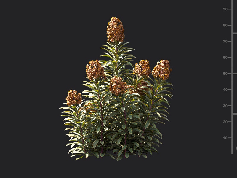 Maxtree - Plant Models Vol.119