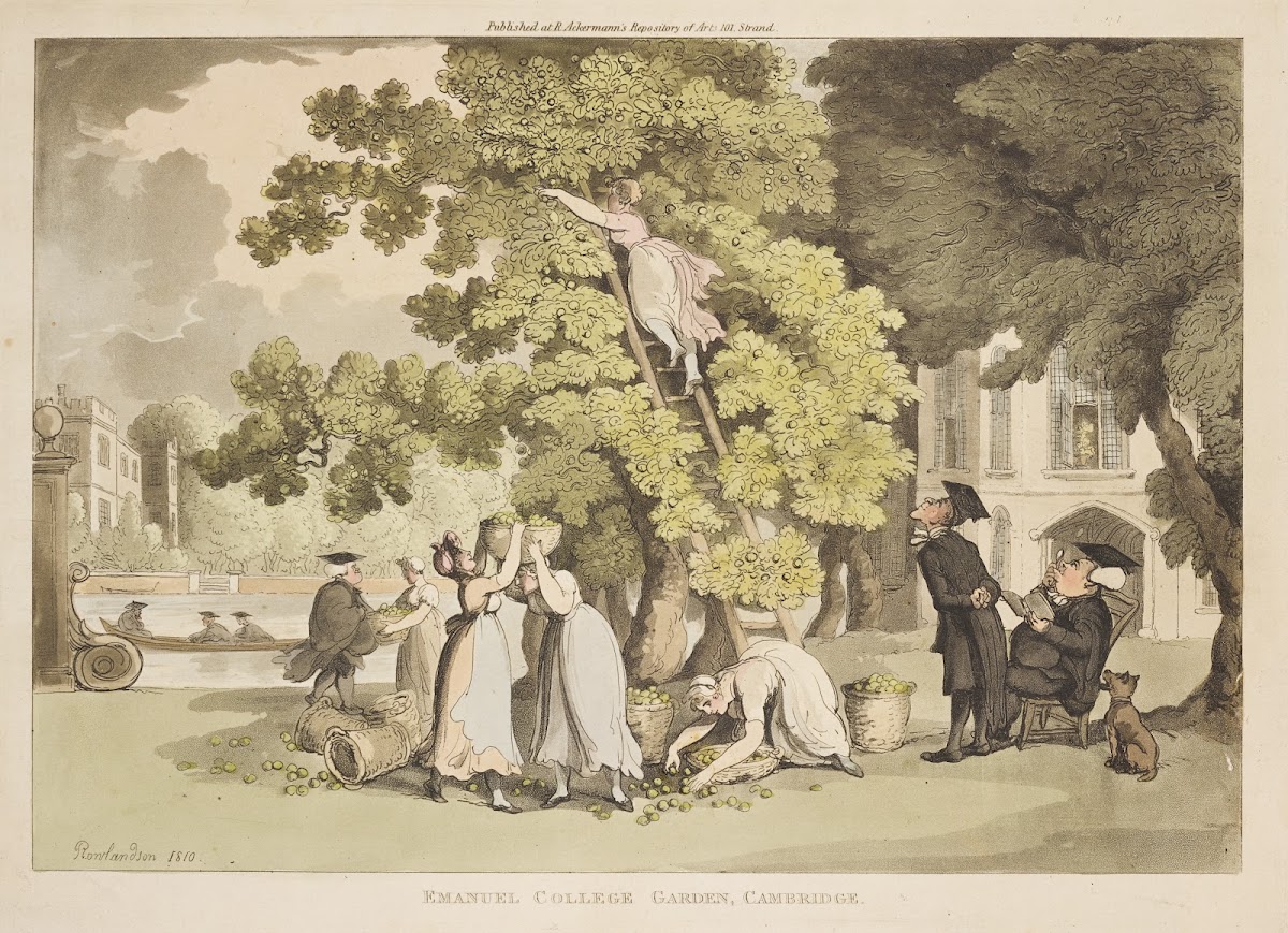 Emanuel College Garden Cambridge 1810