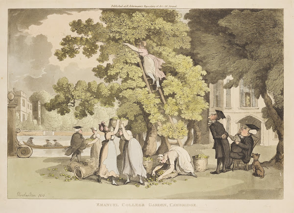 Emanuel College Garden Cambridge 1810