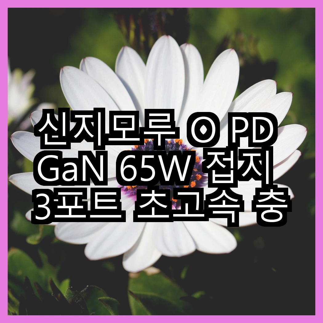 신지모루 O PD GaN 65W 접지 3포트 초고속 충전기 vs 신지모루 오피디 25W GaN 듀얼포트 PPS 초고속 PD 충전기, 기능 차이 썸네일