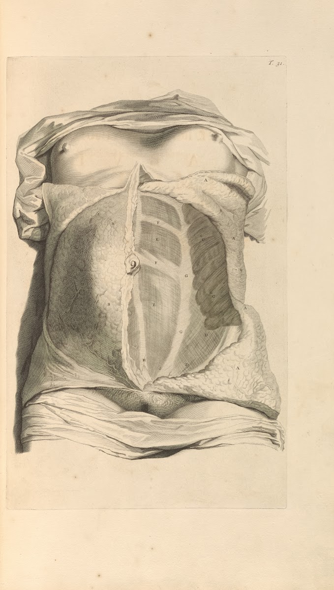 Anatomia humani corporis Pl032 1685