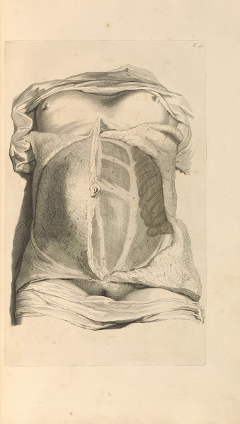 Anatomia humani corporis Pl032 1685