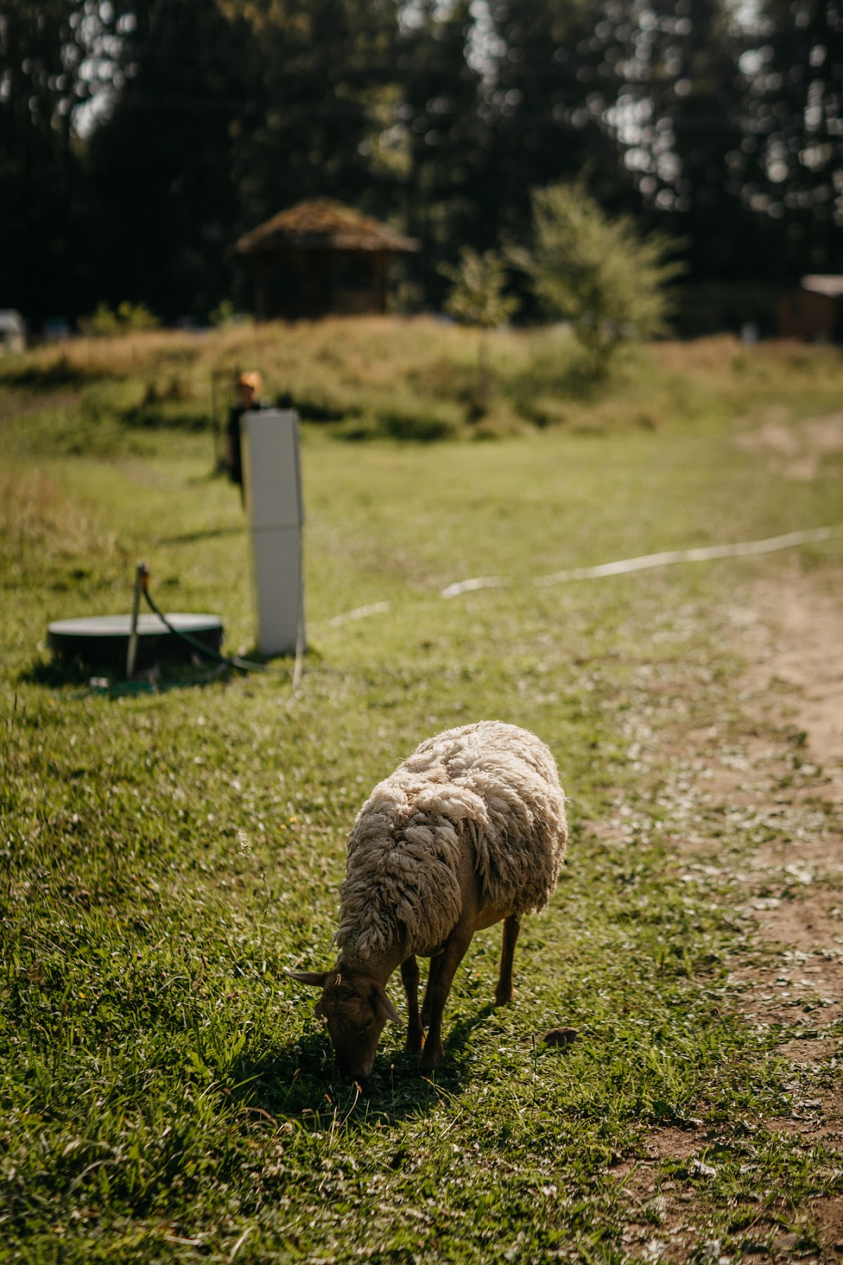 Farma Na pasece