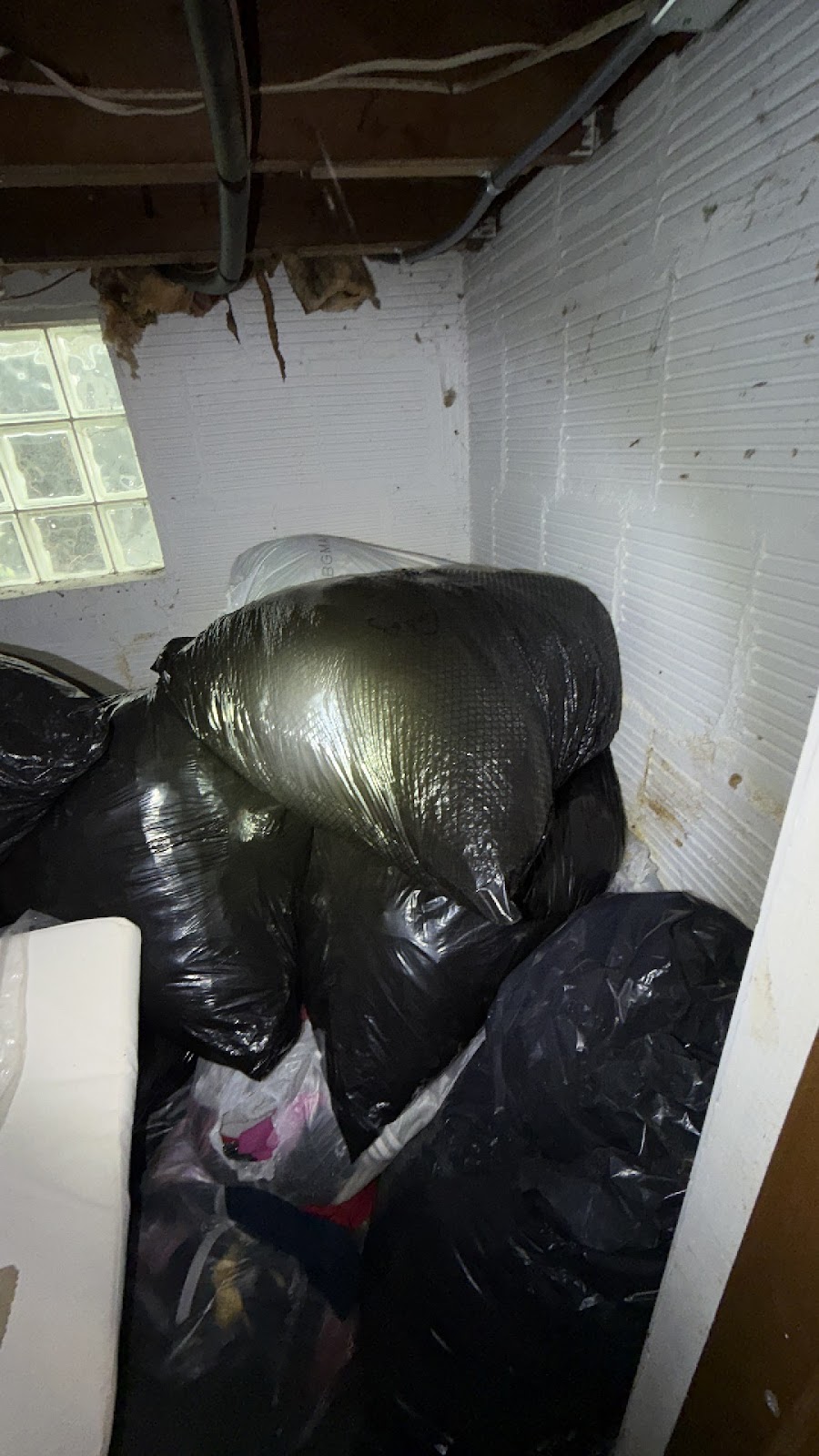 Copy of IMG_2026-03-13_14-43-28_463.jpg