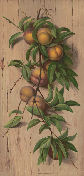 Gems of the orchard 1897