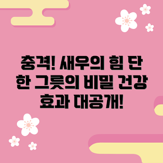 새우 건강 효과, 새우 요리법, 왜 새우를 먹어야 할까, 새우 영양소, 어떻게 새우를 활용할까