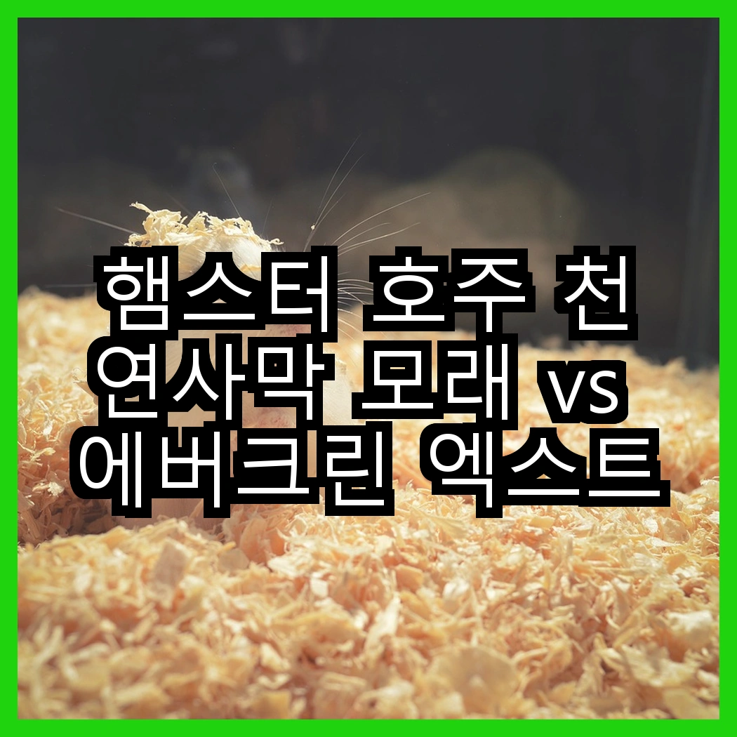 햄스터 호주 천연사막 모래 vs 에버크린 엑스트라 스트롱 고양이 모래, 어떤 모래가 더 효과적일까요? 썸네일