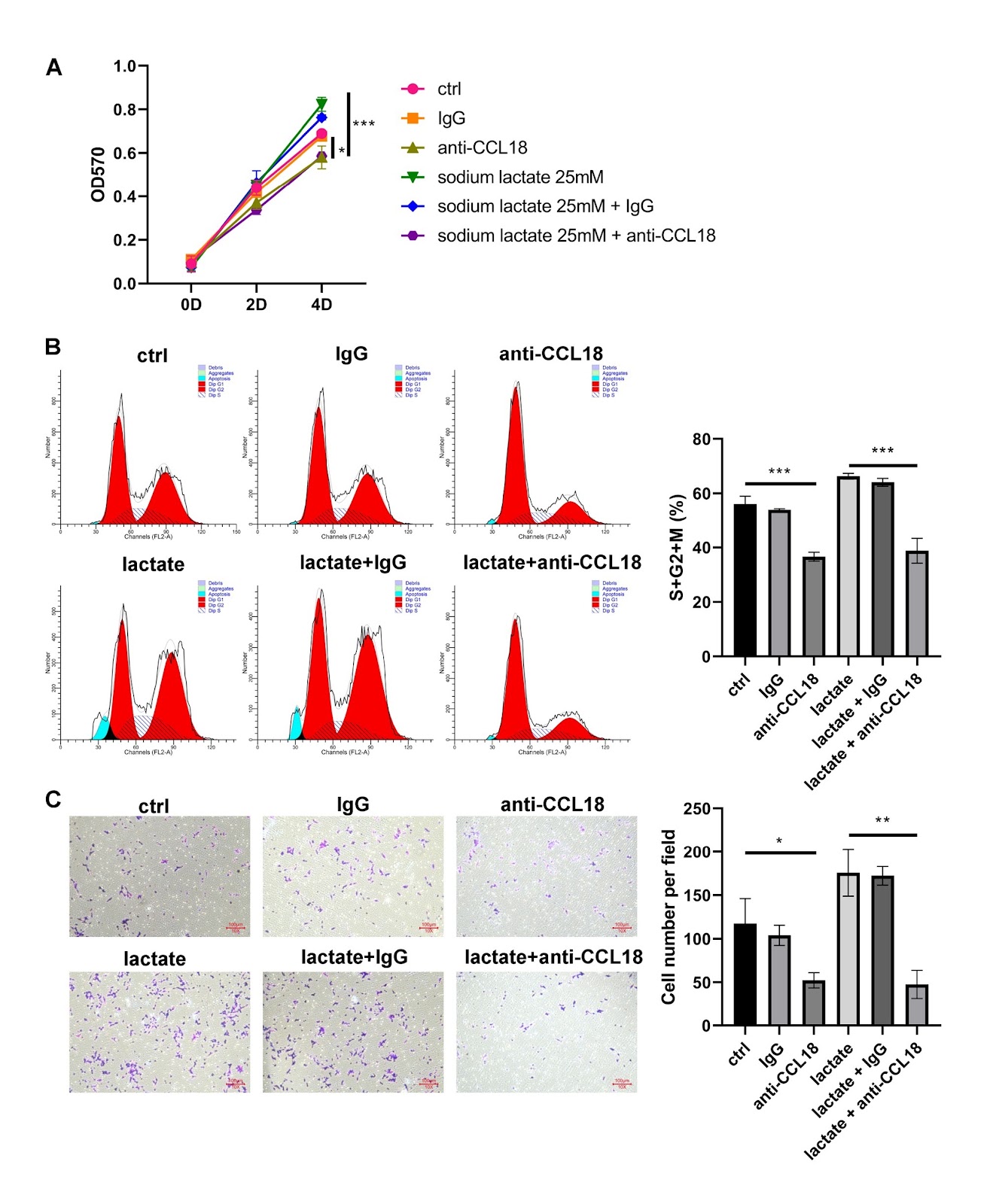 Lactate activates CCL18 expression via H3K18 lactylation in macrophages to promote tumorigenesis of ovarian cancer