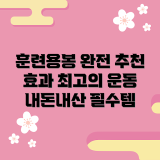 훈련용봉 내돈내산, 운동 추천, 효과적인 운동, 운동 놀이, 훈련용봉 사용법