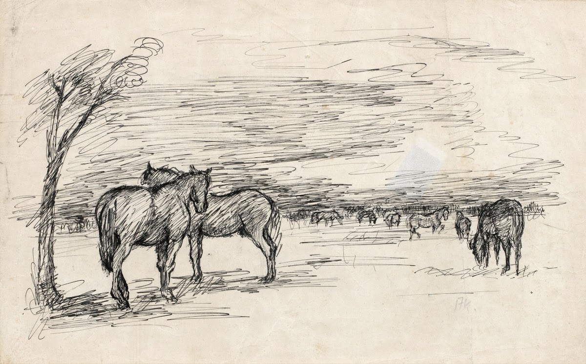 Pferde auf der Wiese