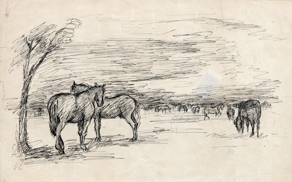 Pferde auf der Wiese