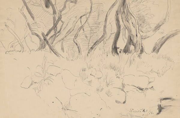 Trees near Lerici Liguria 1874