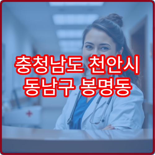 충청남도 천안시 동남구 봉명동 설날 명절 당번약국 운영시간 정리