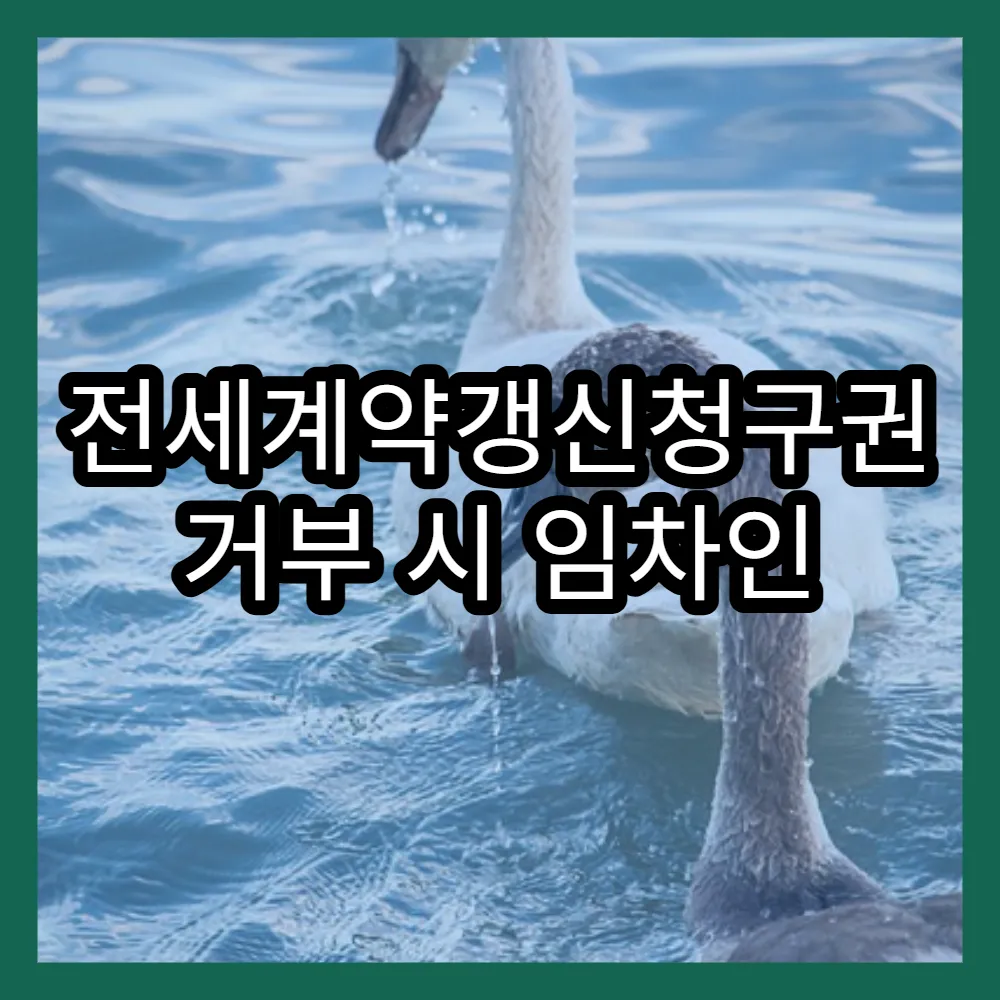 전세계약갱신청구권 거부 시 임차인 대응 가이드