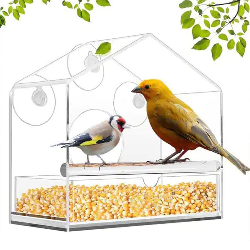 Transparent Acrylic Bird Feeder with Suction Cup