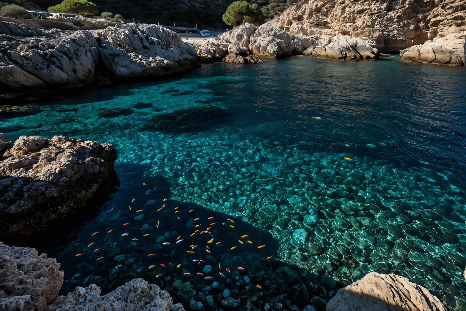 CAI ibiza online.blogspot 00369
