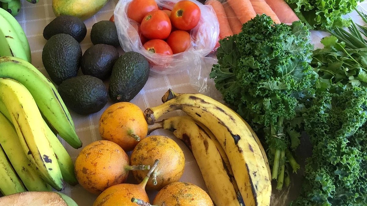 만성 염증 관리법과 노화 예방에 좋은 식단 구성 기준