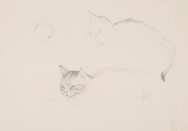 Drawings & Sketches