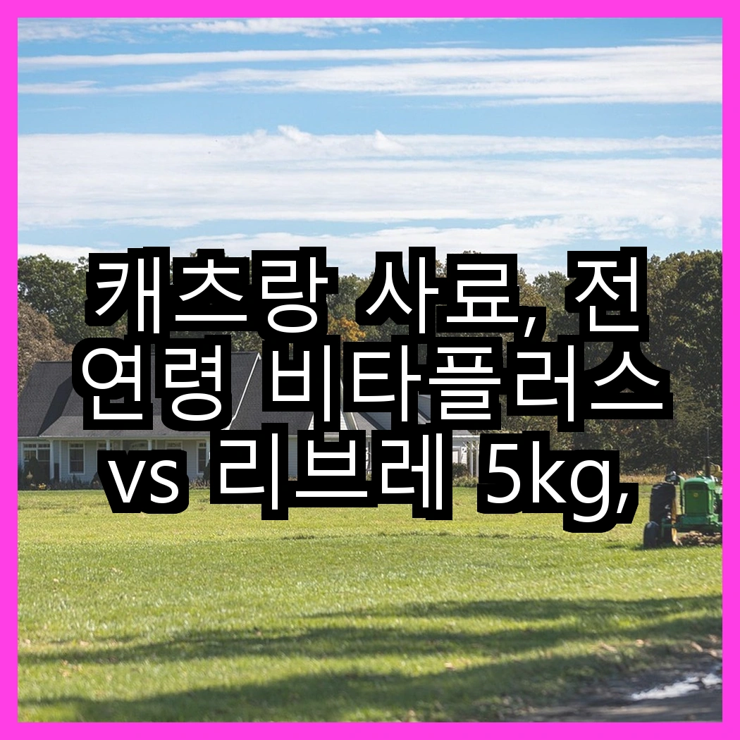 캐츠랑 사료, 전연령 비타플러스 vs 리브레 5kg, 고양이의 건강을 위해 어떤 선택이 좋을까? 썸네일